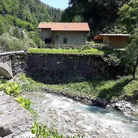 Apartma Cuvajnica Apartma *