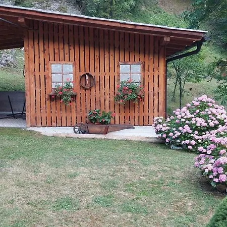 Apartma Cuvajnica Apartment *